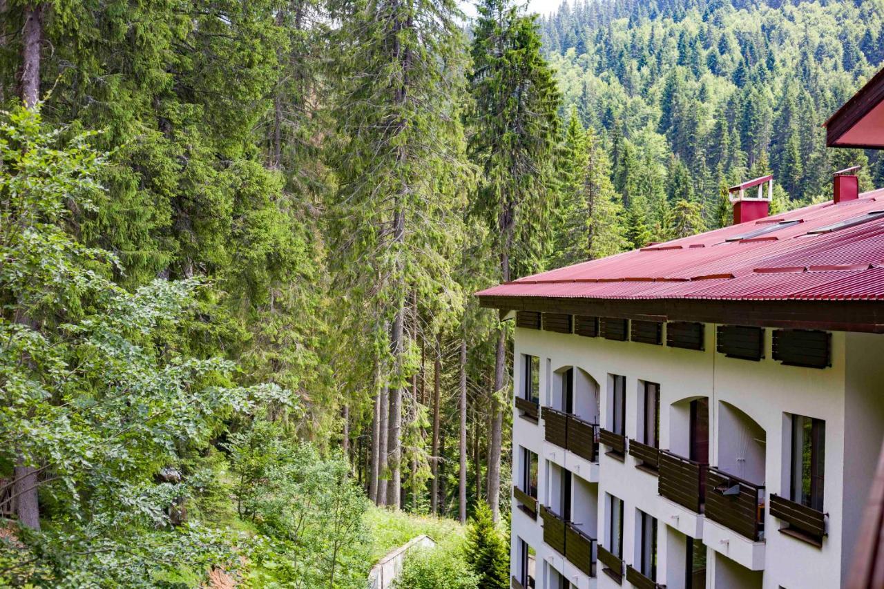 Forest Dream Apartment - Elit Pamporovo Exterior foto