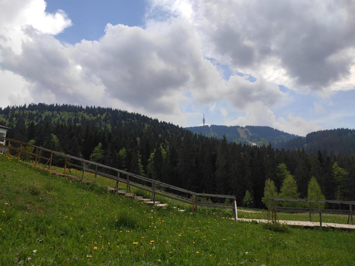 Forest Dream Apartment - Elit Pamporovo Exterior foto