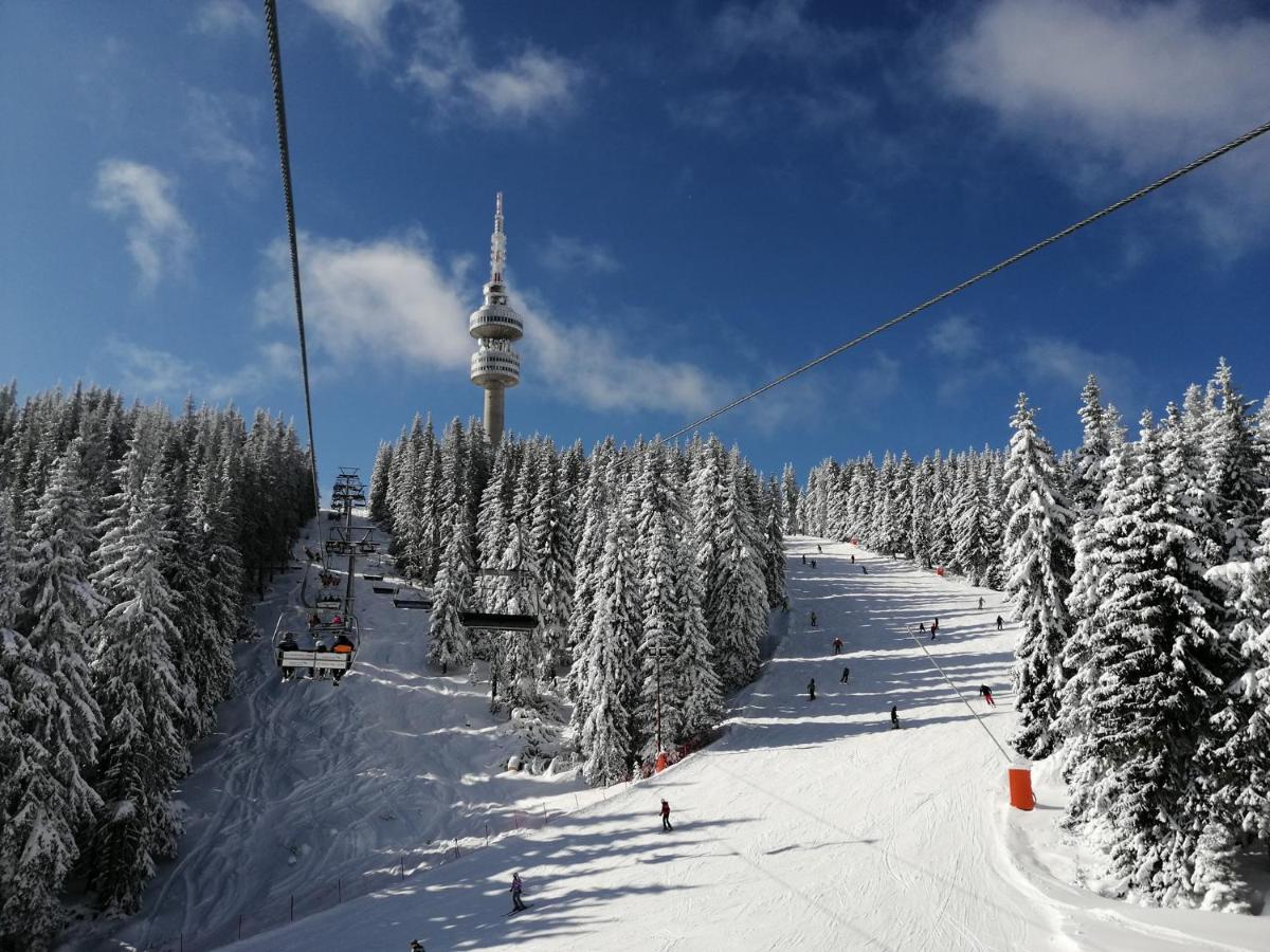 Forest Dream Apartment - Elit Pamporovo Exterior foto